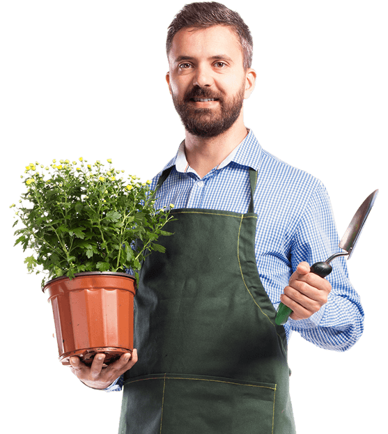 Gardener holding plant and trowel, smiling.