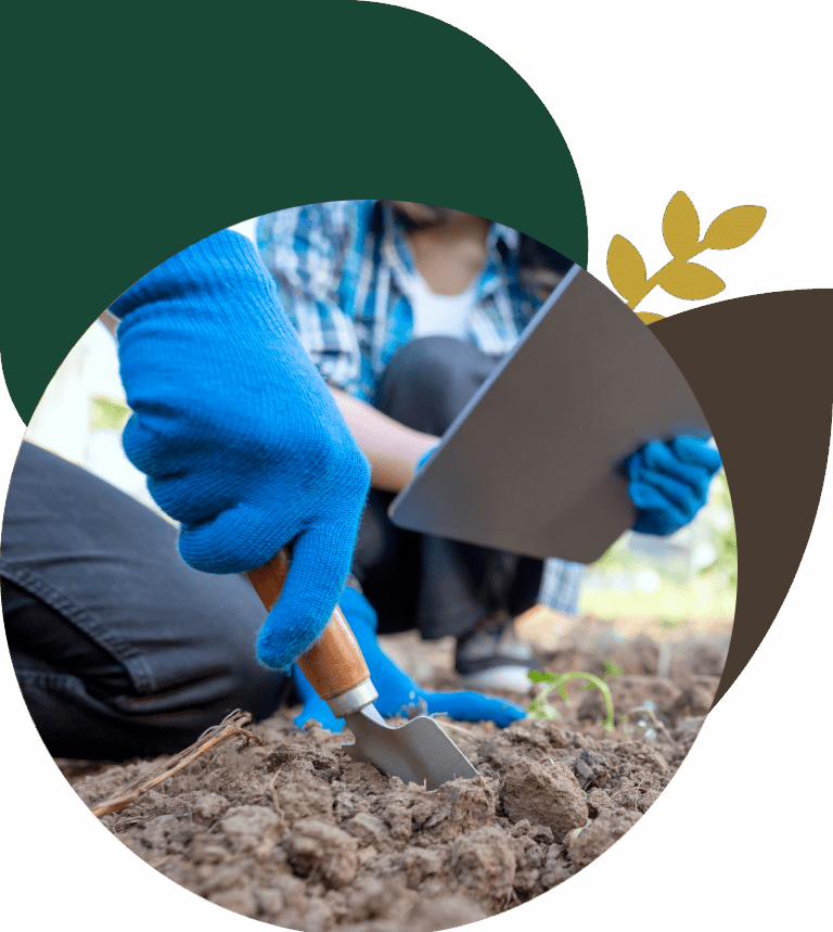 Gardener with tablet digging in soil.