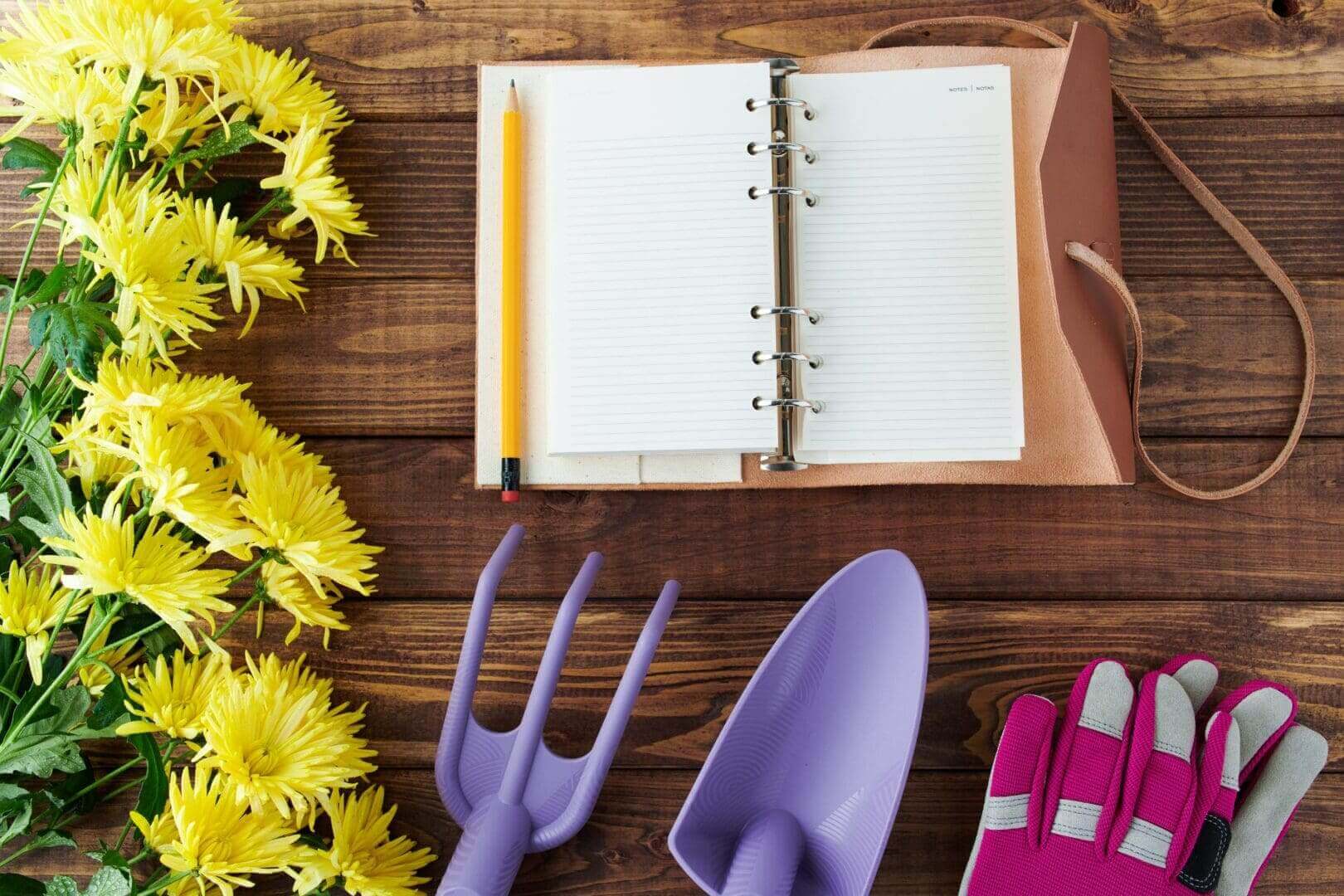 Gardening tools with notebook and yellow flowers.