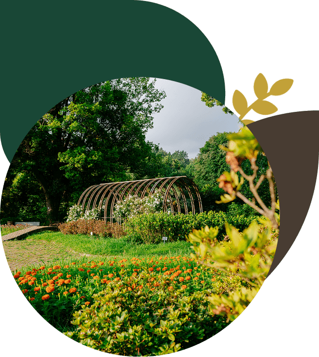 Garden with flowers and metal archway structure.