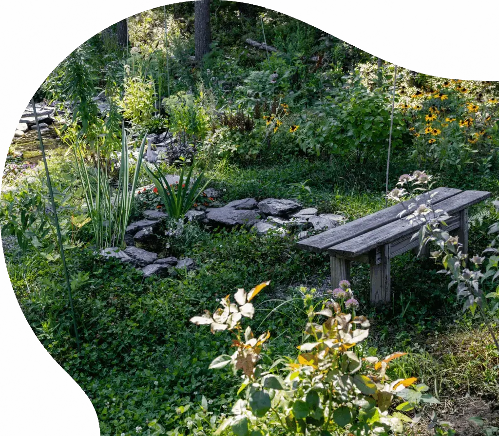 Garden bench surrounded by lush green plants.
